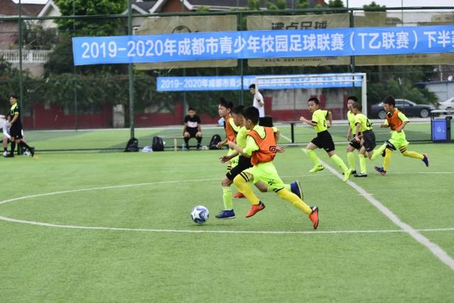 胡金秋16+8广厦胜同曦 张帆25分北控胜四川